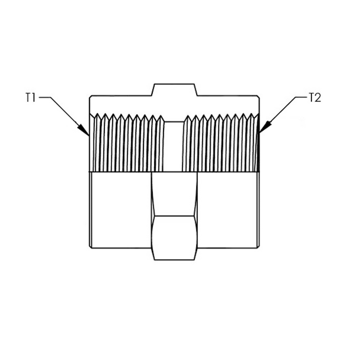 -02 X -02 Female NPT to Female NPT Straight (5000-02-02)