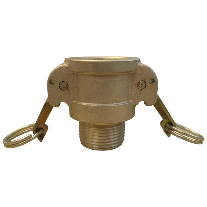 Type B 1" Female Adapter X 1" Male NPT - B100IAL